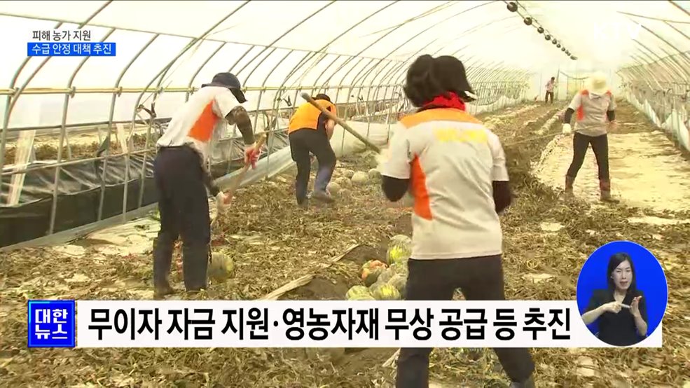 농산물 &#39;직격탄&#39;···피해 농가 지원·수급 안정 대책 추진