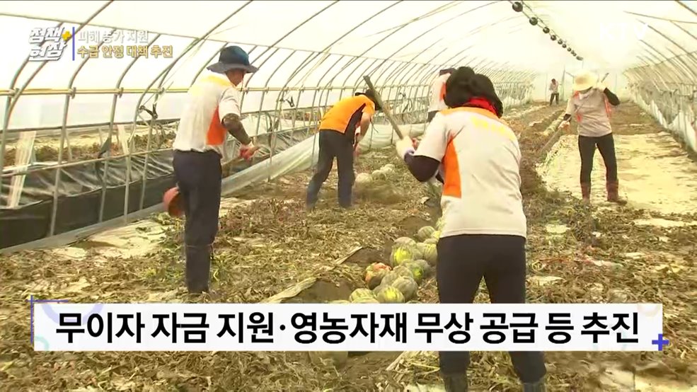 농산물 '직격탄'···피해 농가 지원·수급 안정 대책 추진