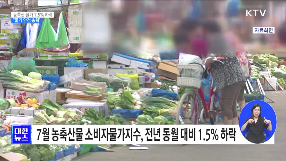 집중호우에도 농축산 물가 1.5&#37; 하락···&#34;물가 안정 총력&#34;