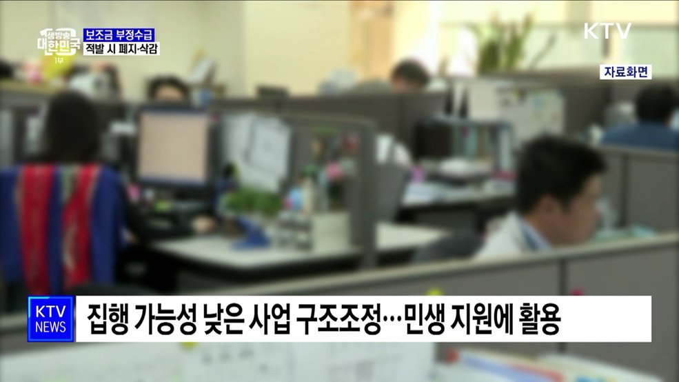 &#39;부정수급&#39; 지방보조금 폐지···신고포상제 확대