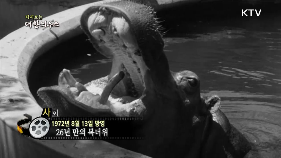 다시보는 대한늬우스 (72. 8. 13)