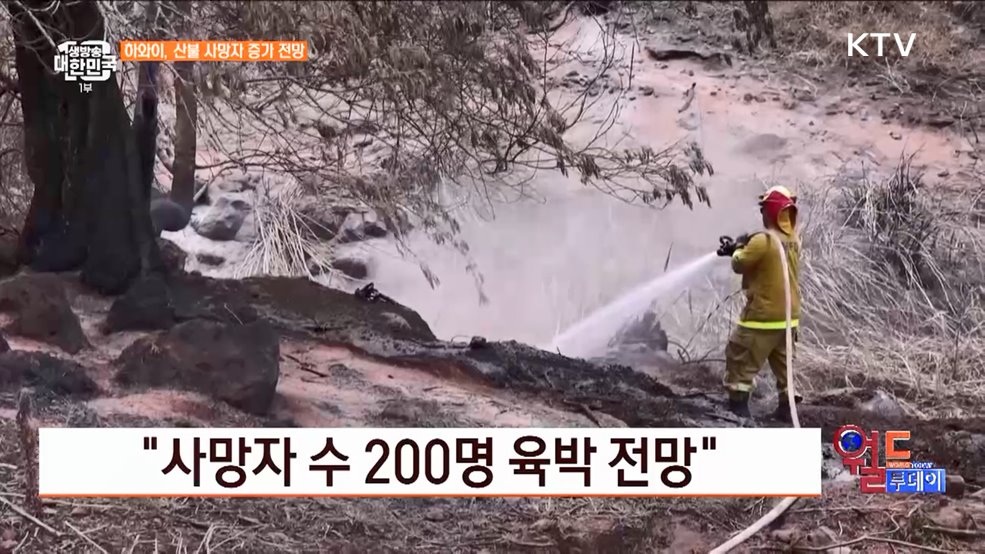하와이, 산불 사망자 최소 99명 [월드 투데이]