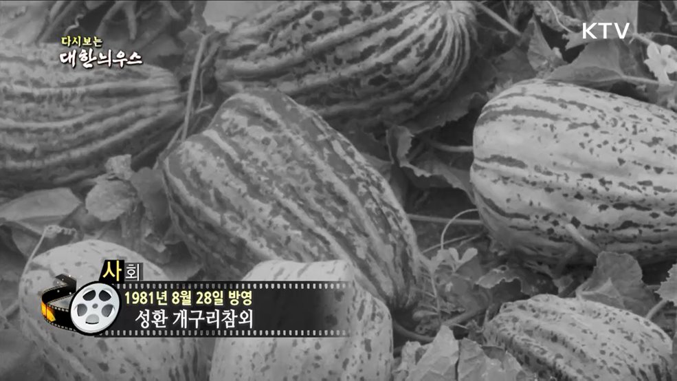 다시보는 대한늬우스 (81. 8. 28)