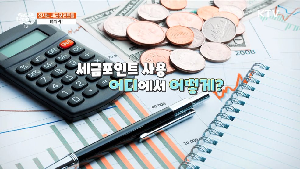 나도 모르게 쌓이는 세금포인트 알차게 활용하는 법 [돈이 보이는 VCR]