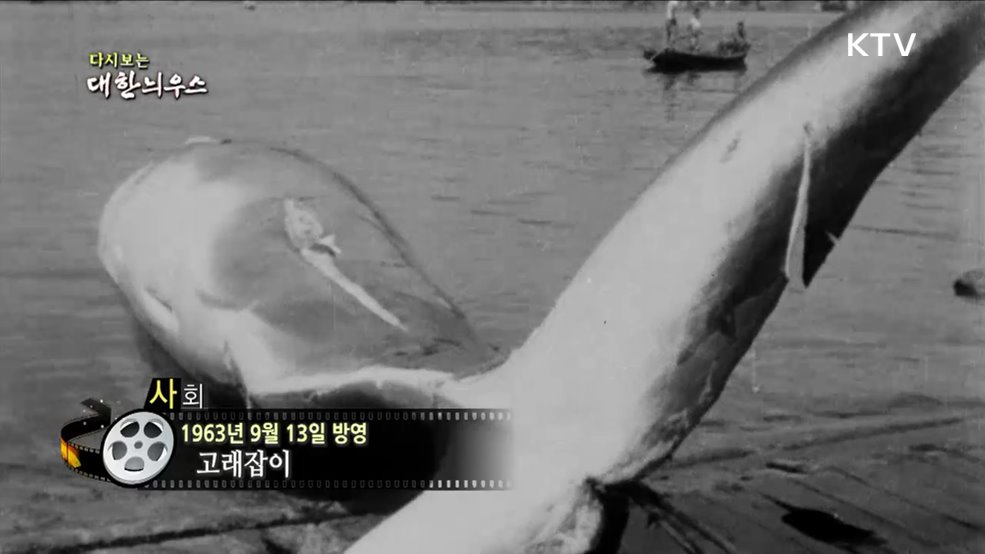 다시보는 대한늬우스 (63. 9. 13)