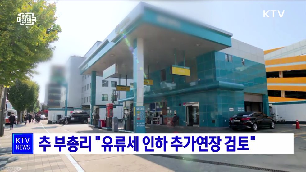 추 부총리 &#34;유류세 인하 추가연장 검토&#34;
