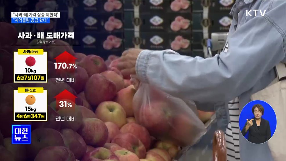 &#34;사과·배 가격 상승 제한적···계약물량 공급 확대&#34; [정책현장+]
