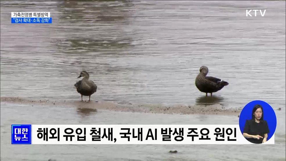 다음달부터 가축전염병 특별방역···"검사 확대·소독 강화" [정책현장+]