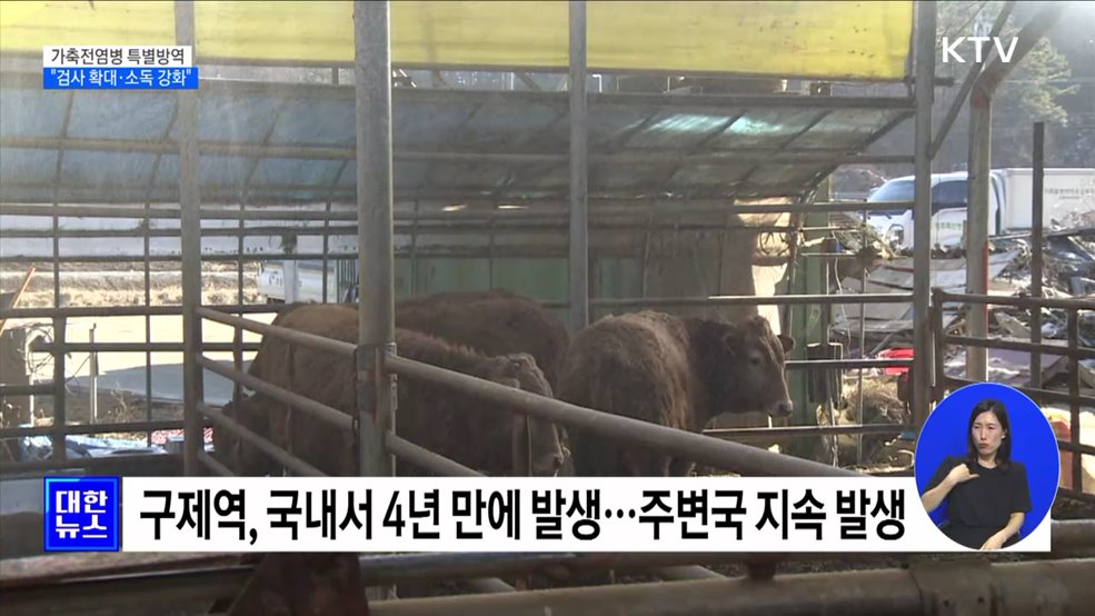 다음달부터 가축전염병 특별방역···&#34;검사 확대·소독 강화&#34; [정책현장+]