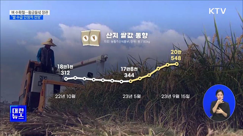 벼 수확철···&#34;올 수확기 쌀 수급 안정적 전망&#34; [정책현장+]