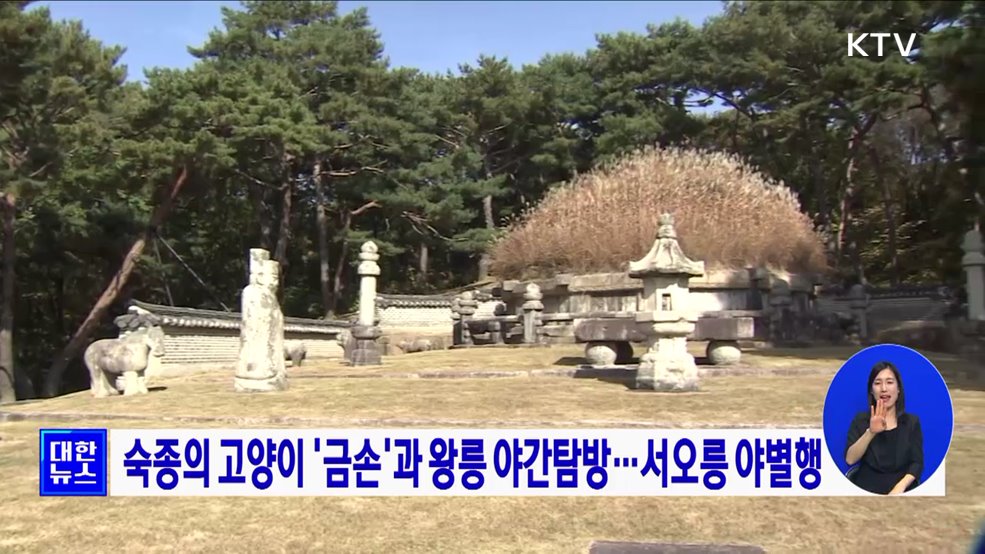 숙종의 고양이 &#39;금손&#39;과 왕릉 야간탐방···서오릉 야별행