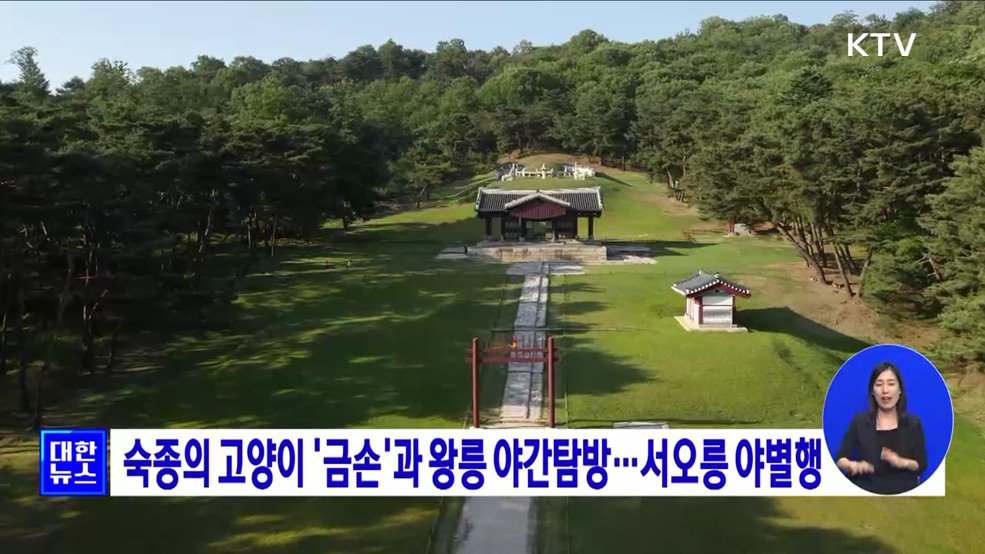 숙종의 고양이 &#39;금손&#39;과 왕릉 야간탐방···서오릉 야별행