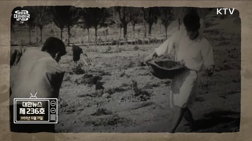 풍년이로구나~! 황금빛 수확의 계절 [라떼는 뉴우스]