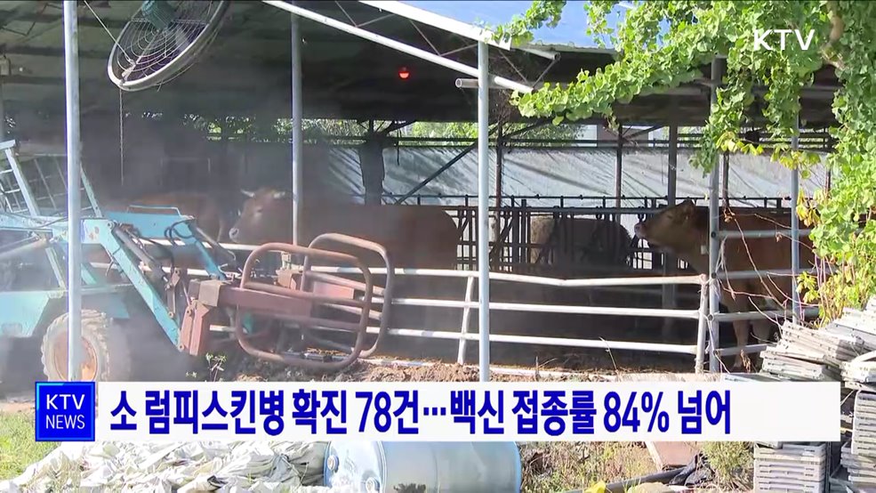 소 럼피스킨병 확진 78건···백신 접종률 84&#37; 넘어