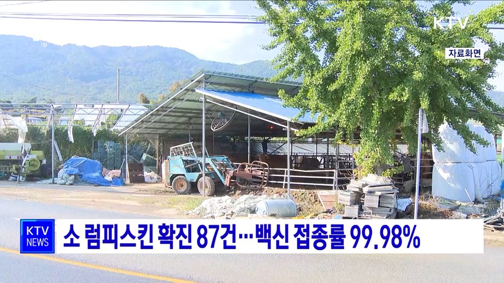 소 럼피스킨 확진 87건···백신 접종률 99.98%