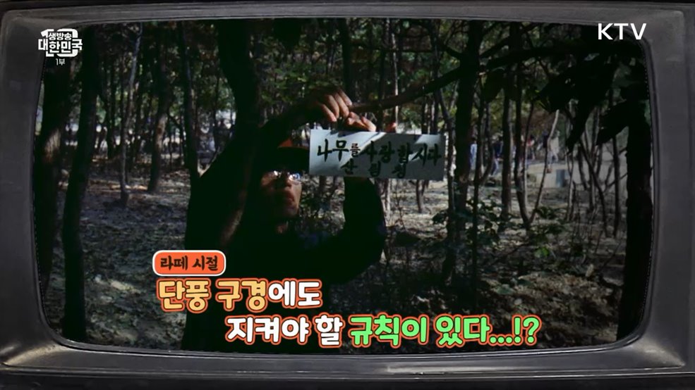 가을은 단풍의 계절? 자연보호의 계절! [라떼는 뉴우스]