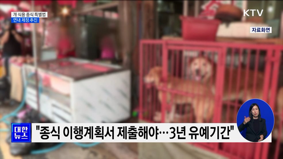 당정 &#34;개 식용 종식 특별법 연내 제정 추진&#34; [정책현장+]