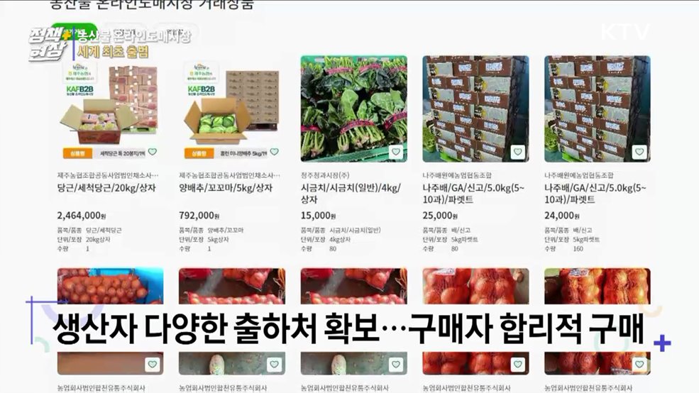 '온라인 가락시장' 만든다···농산물 온라인도매시장 출범
