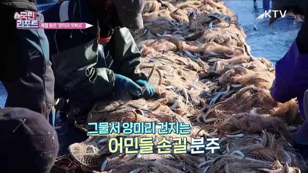 속초서 겨울 별미 '양미리·도루묵' 맛봐요