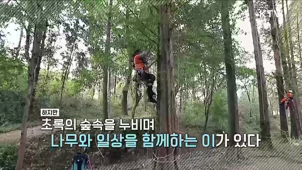 나무에 오르면 숲이 보인다