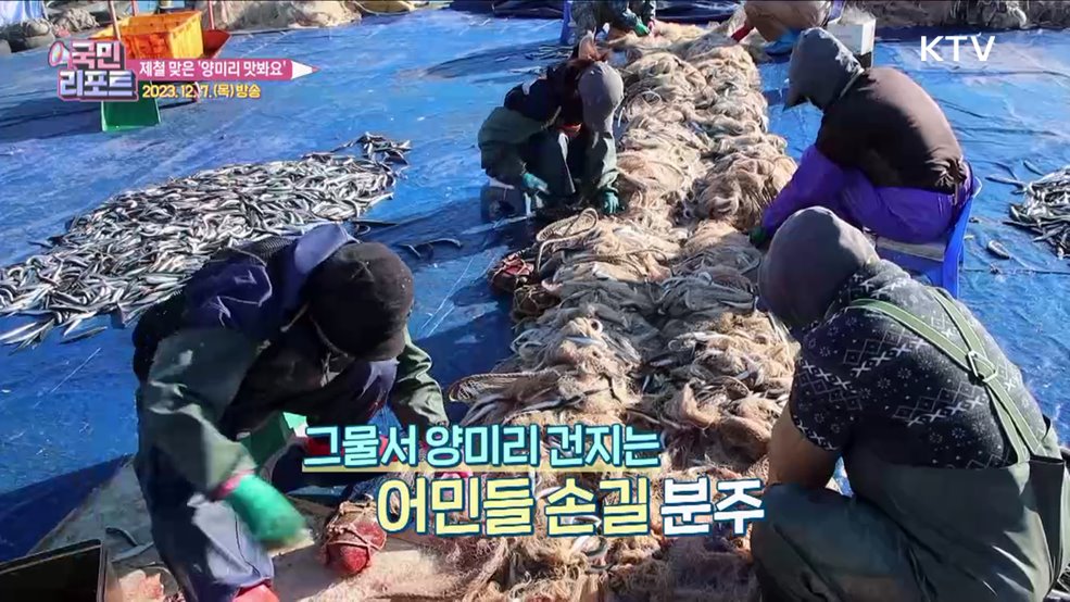 속초서 겨울 별미 '양미리·도루묵' 맛봐요