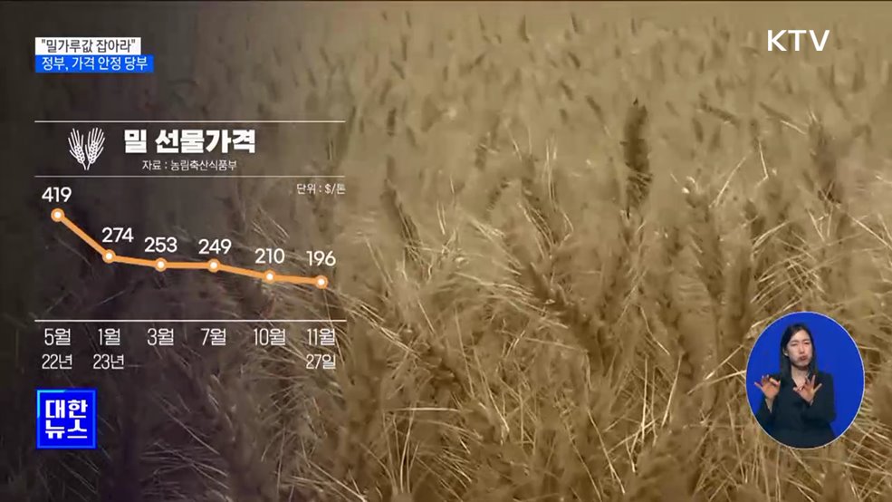 &#34;밀가루값 잡아라&#34;···정부, 가격 안정 당부 [정책현장+]