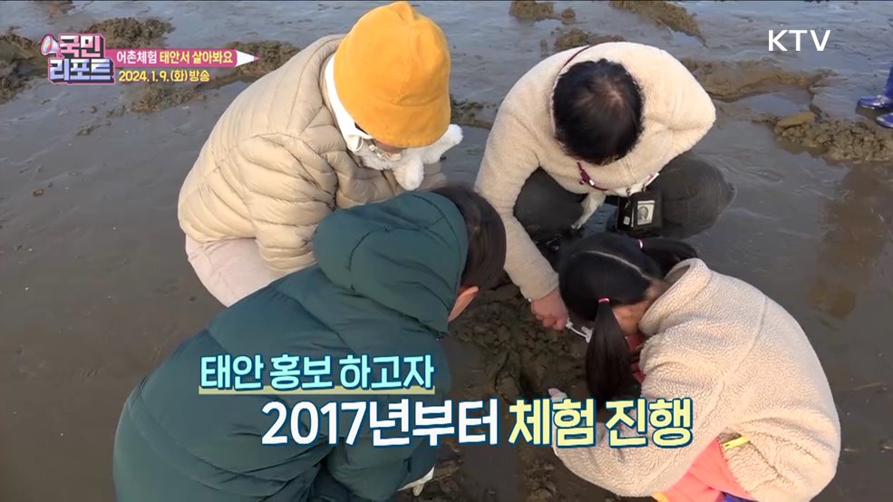 살아보러 왔어요, 태안군 어촌체험 호응