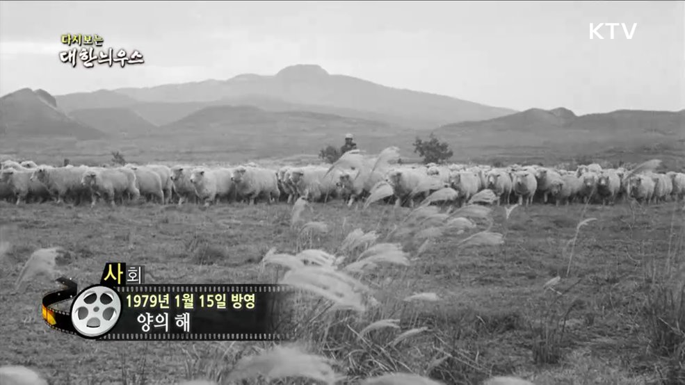 다시보는 대한늬우스 (79. 1. 15) 이미지