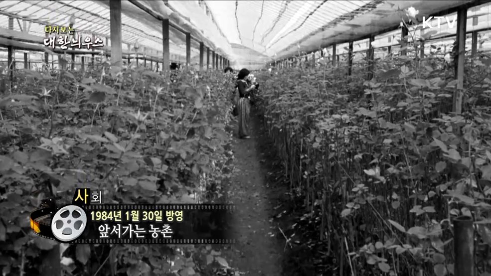 다시보는 대한늬우스 (84. 1. 30) 이미지