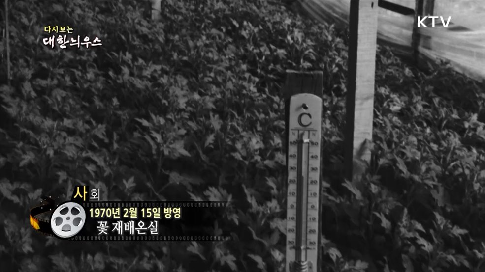 다시보는 대한늬우스 (70. 2. 15)