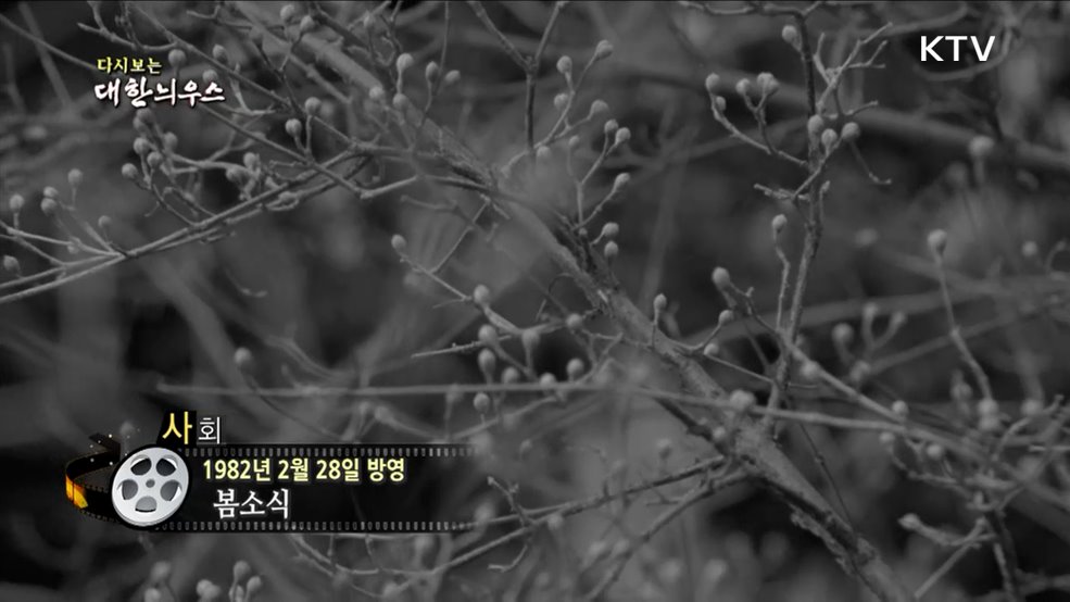 다시보는 대한늬우스 (82. 2. 28) 이미지