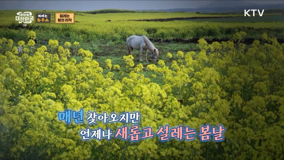 드디어 봄이 왔나 봄 그 시절 봄맞이 풍경 [라떼는 뉴우스]