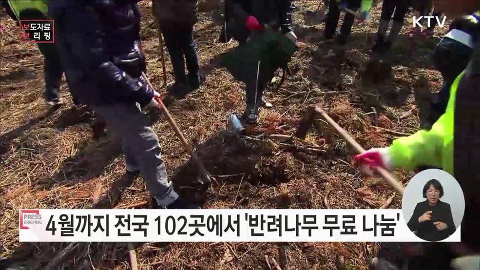 산림청, 반려나무 56만 그루 나눠드려요!