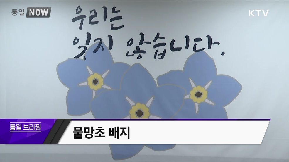 물망초 배지