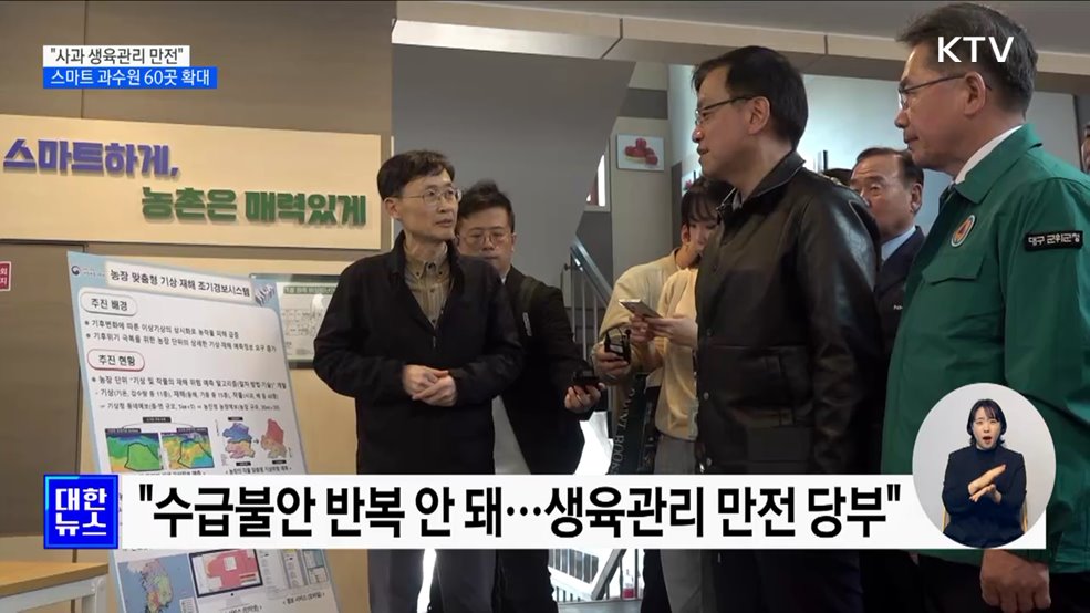 "사과 수급불안 반복 안 돼"···생육관리 점검