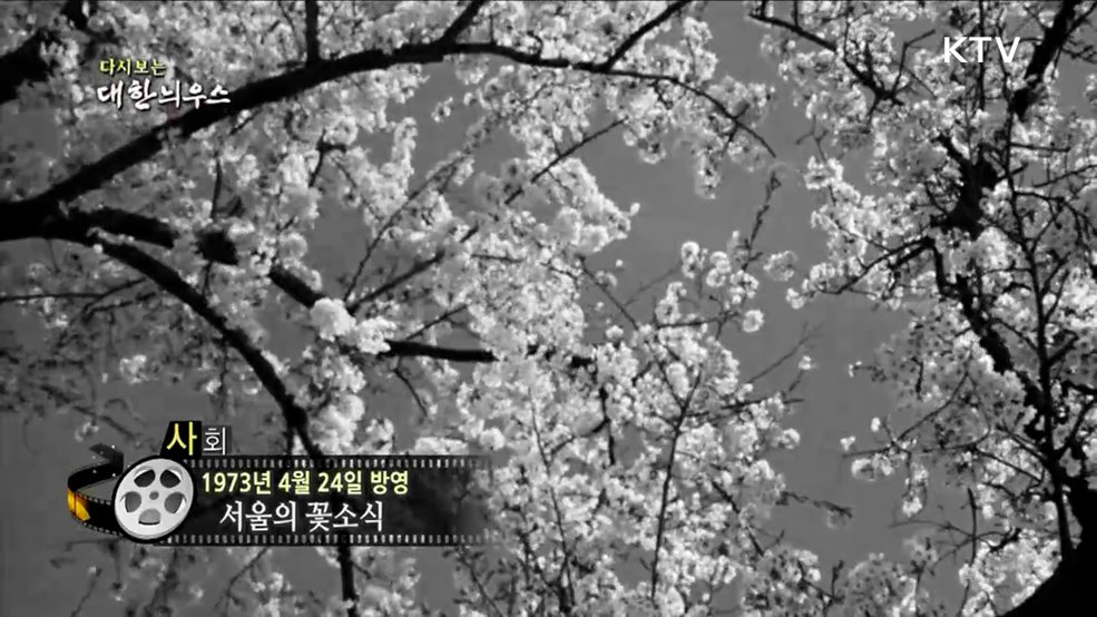 다시보는 대한늬우스 (73. 4. 24.) 이미지