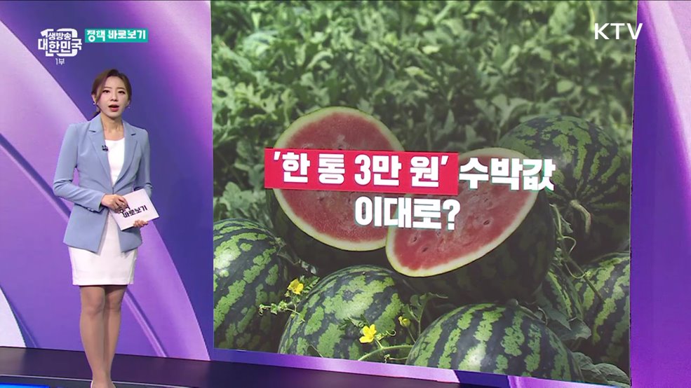 &#39;일조량 부족&#39;에 여름에 수박 먹기 어려워진다? [정책 바로보기]