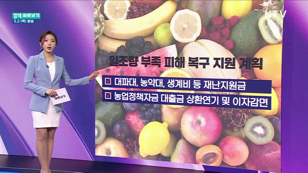 '일조량 부족'에 여름에 수박 먹기 어려워진다?