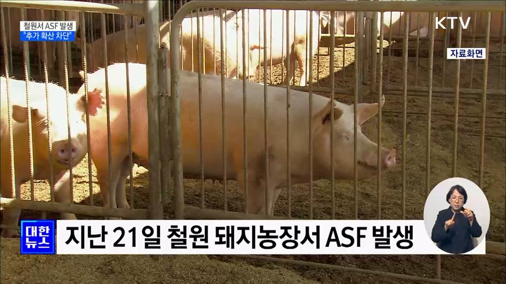 4개월 만에 철원서 ASF 발생···&#34;추가 확산 차단&#34;