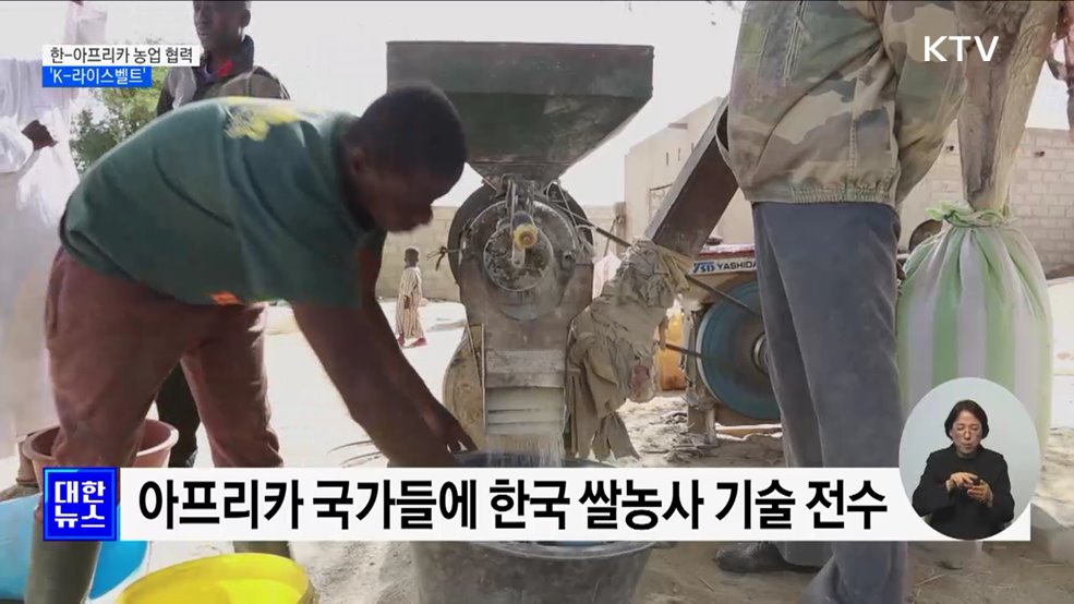 아프리카에 한국 쌀농사 기술 전수···&#34;정상회의로 협력 강화&#34; [정책현장+]