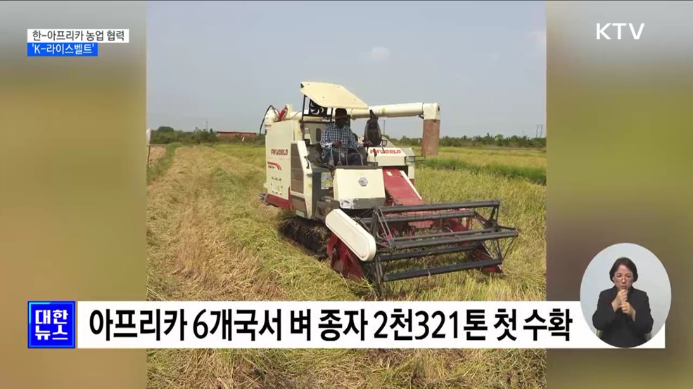 아프리카에 한국 쌀농사 기술 전수···&#34;정상회의로 협력 강화&#34; [정책현장+]