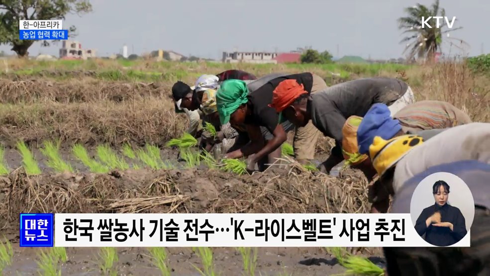 농업 협력 확대···&#34;아프리카에 K-농업 확산&#34;
