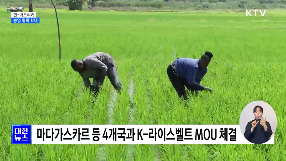 농업 협력 확대···&#34;아프리카에 K-농업 확산&#34;