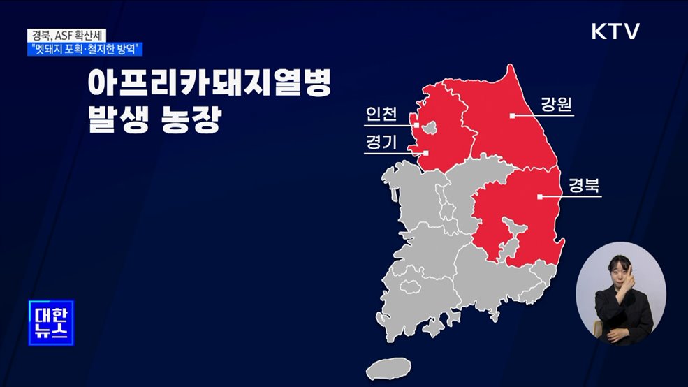 경북 &#39;아프리카돼지열병&#39; 확산세···&#34;멧돼지 포획·철저한 방역&#34;