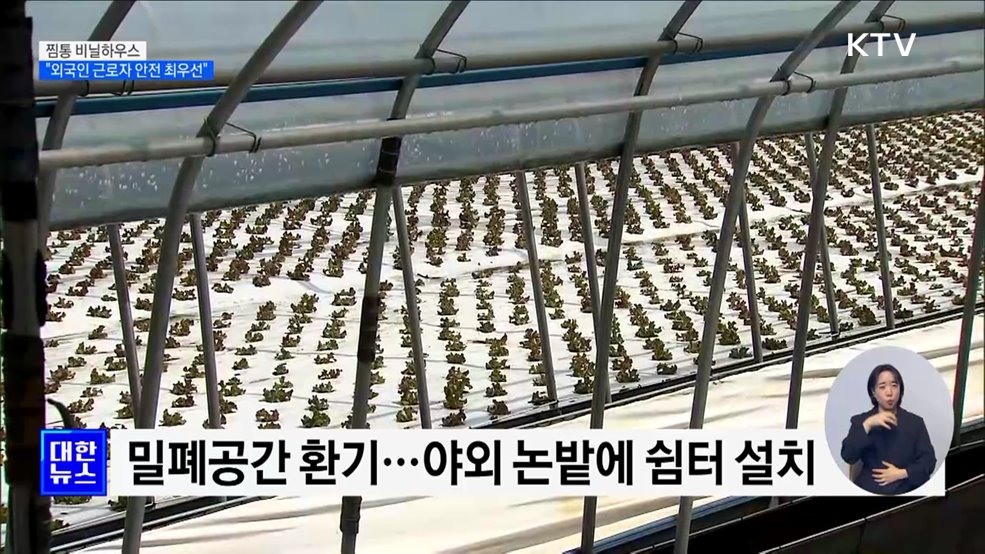 폭염에 비닐하우스 찜통···&#34;외국인 근로자 안전 최우선&#34;
