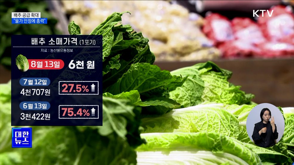 배추 비축물량 하루 최대 400톤 방출···&#34;물가 안정에 총력&#34;