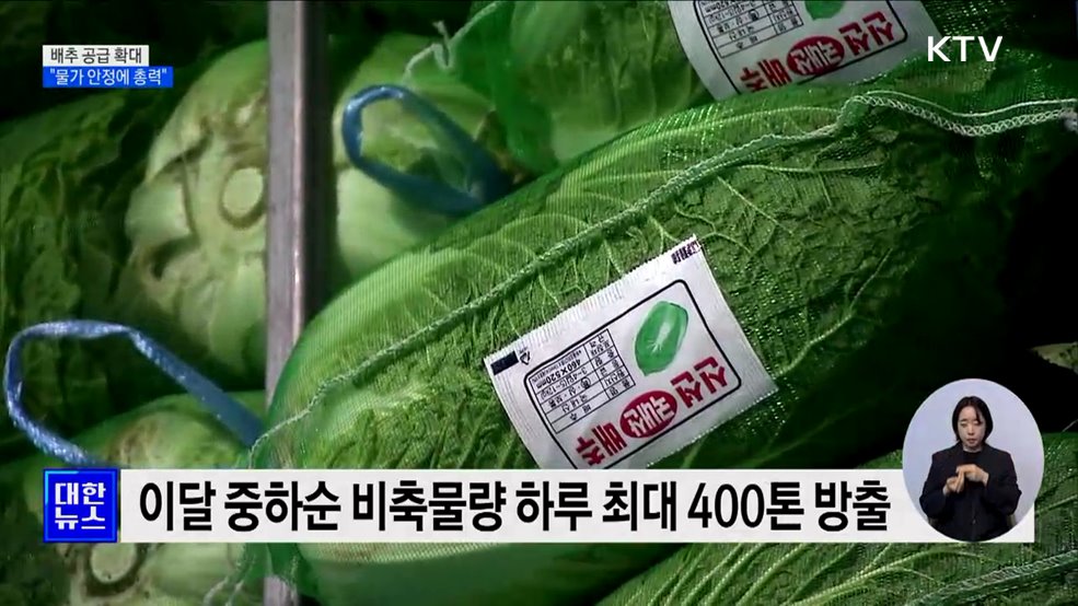 배추 비축물량 하루 최대 400톤 방출···&#34;물가 안정에 총력&#34;