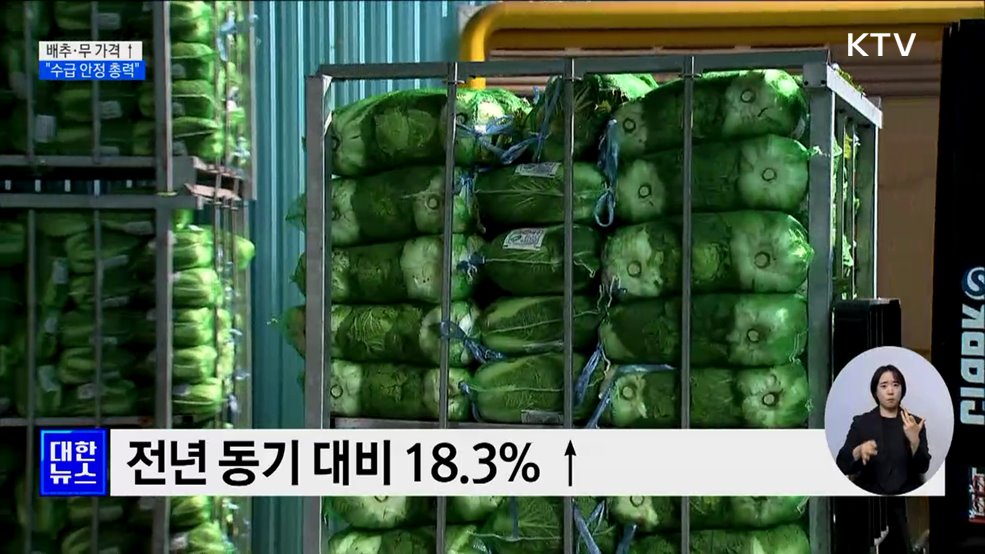배추·무 가격↑···&#34;모든 가용수단 동원해 수급 안정&#34;