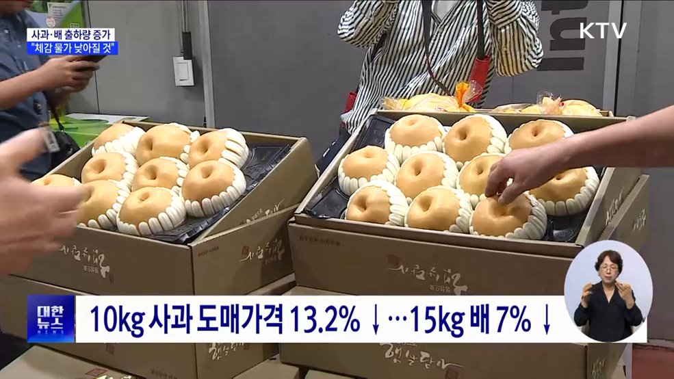 사과·배 출하량 증가···&#34;체감 물가 낮아질 것&#34;