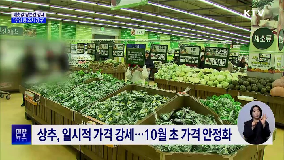 배춧값 당분간 강세···&#34;수입 등 필요 조치 강구&#34;